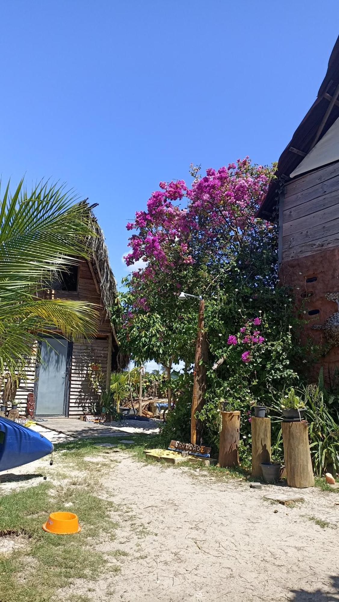 Flor Da Aldeia Eco