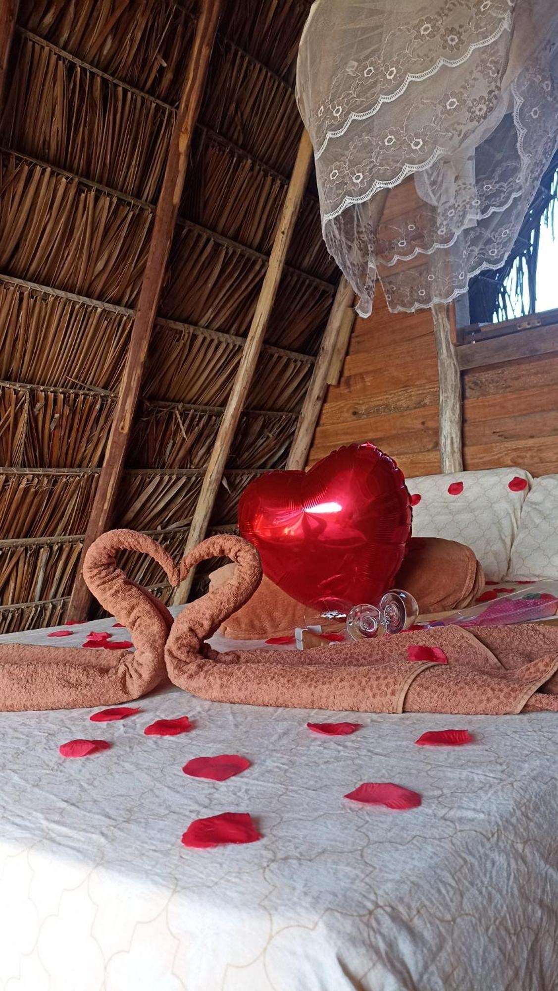 Luxury tent Flor Da Aldeia Eco *
